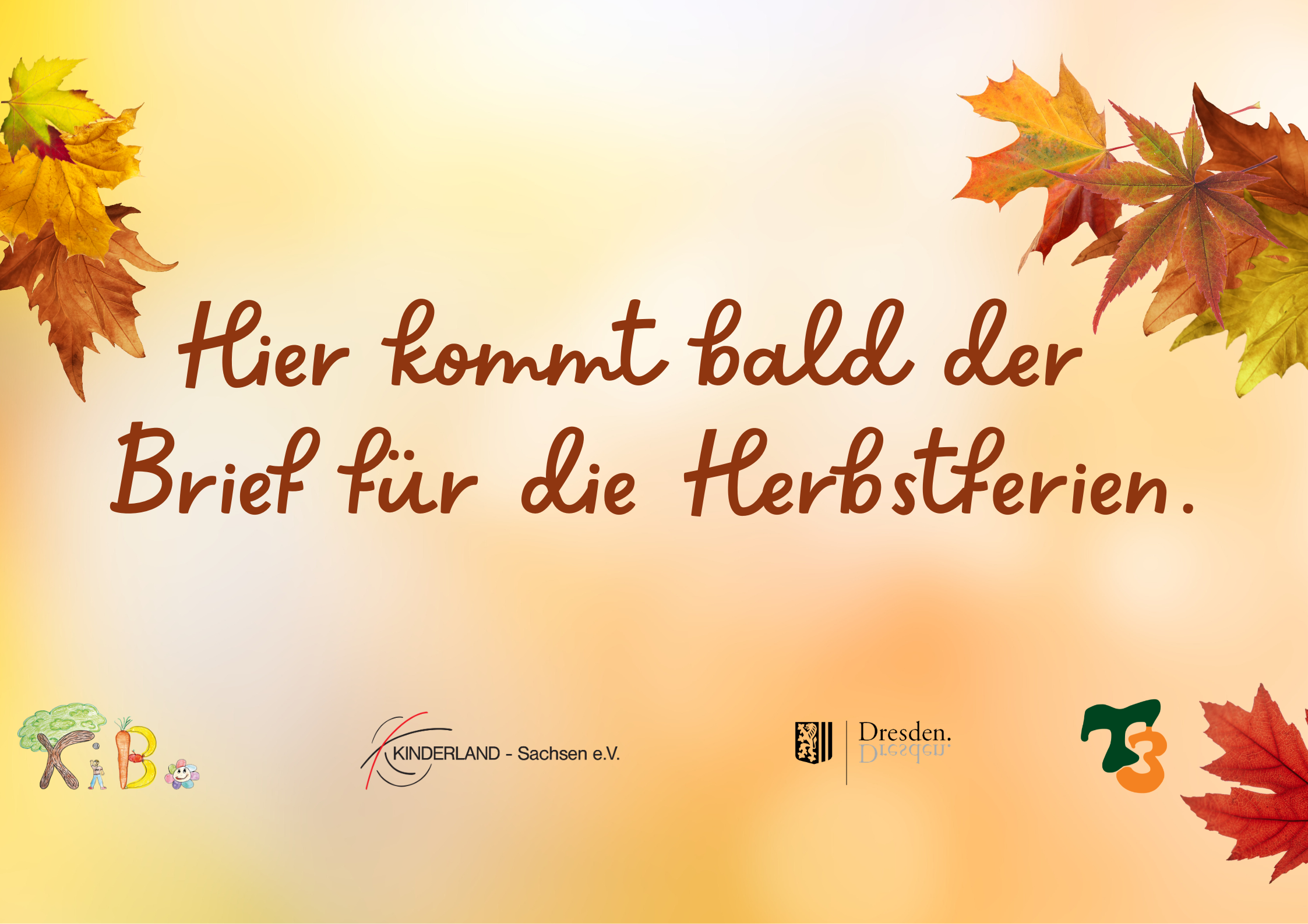 Unser Ferienprogramm